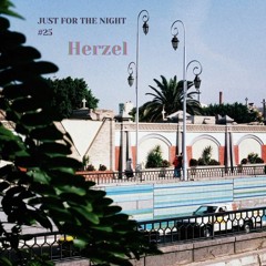 Just For The Night #25 - Herzel