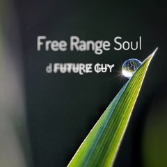 Free Range Soul_         ᴏʀɢᴀɴɪᴄ/ʜʏʙʀɪᴅ