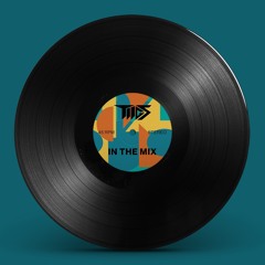 TIIGS In The Mix - Vol. 3