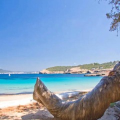 Terrace grooves vol.41 - live 4 Cala Bassa Beach Club