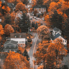 Tayydanavy - October Freestyle (2024)