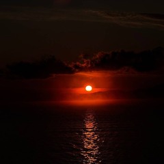 into the night - james