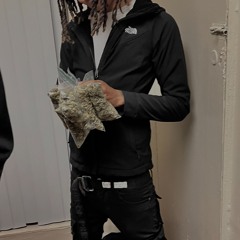 Moose or Goose (Prod. ehuncho)