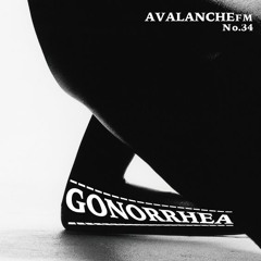 AVALANCHE FM No.34 GONORRHEA