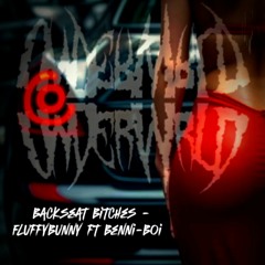 Backseat Bitches - FluffyBunny Ft benni-boiii (Demo)