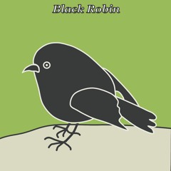 Black Robin Passacaglia