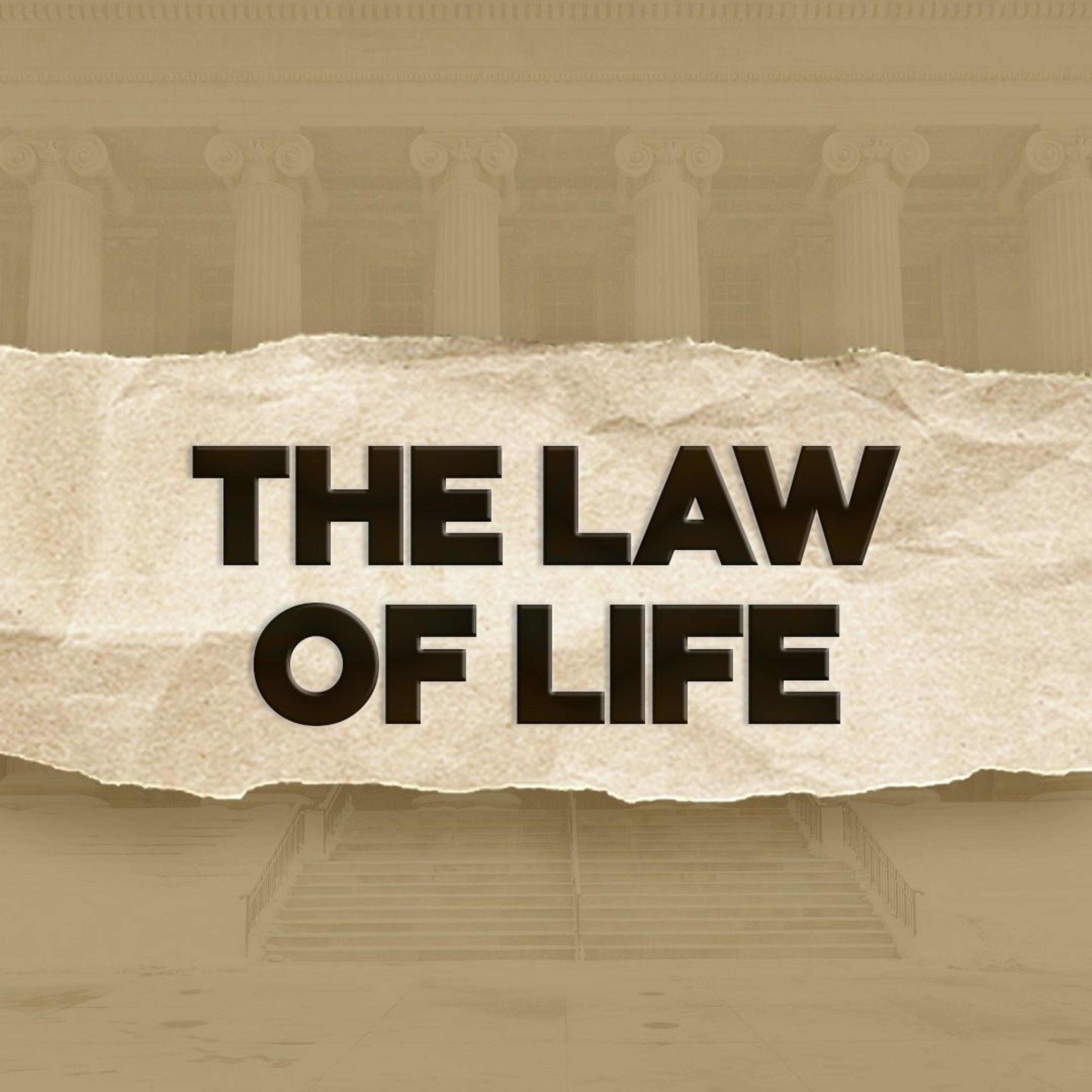 The Law Of Life