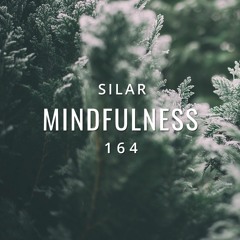 Mindfulness Episode 164