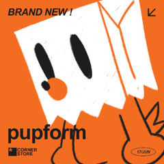 pupform_corner_store_set