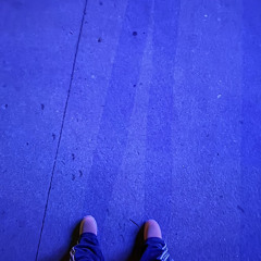 step on shyt ( prod. Lou Xtwo )