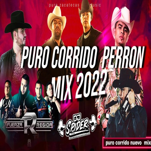 Stream Corridos Perrones 🤠 Mix 2022 Lo Mas Nuevo (Dj spider pzs ) by Dj  Spider PzS | Listen online for free on SoundCloud