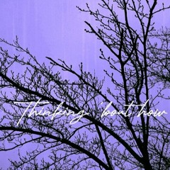 Tu Sicka - Thinking 'bout How I Use To