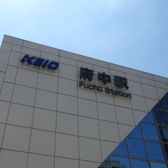 WRIGGLED fuchu