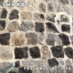 The Wall Of Life