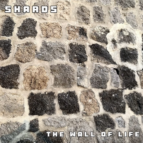 The Wall Of Life