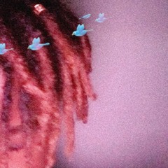 NOVACANE (PROD.CANDLE LIGHTS)