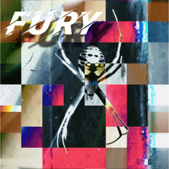 Fury