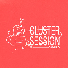 CLUSTER SESSION 14 | Camillo
