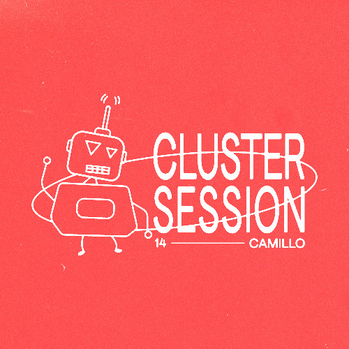 CLUSTER SESSION 14 | Camillo