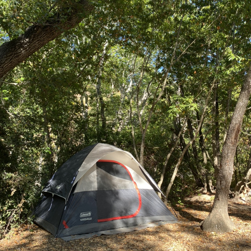big sur (a voice memo)
