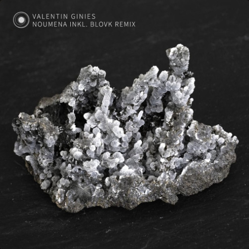 AF Premiere: Valentin Ginies - Luminous Dreams [11001 Records][OUT!! 02.07.25]