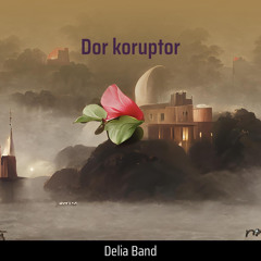 Dor koruptor