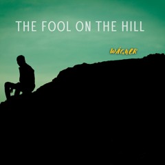 The Beatles • The Fool On The Hill (Cover by Wágner)