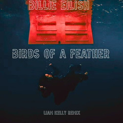 Billie Eilish - BIRDS OF A FEATHER (Liam Kelly Remix)