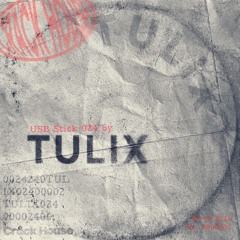 USB Stick by TULIX | 024