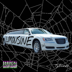 Tybluze - limousine