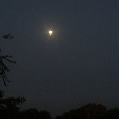 slowed easy : stray kids