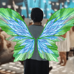Social Butterfly