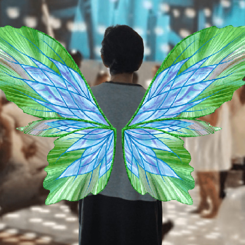 Social Butterfly