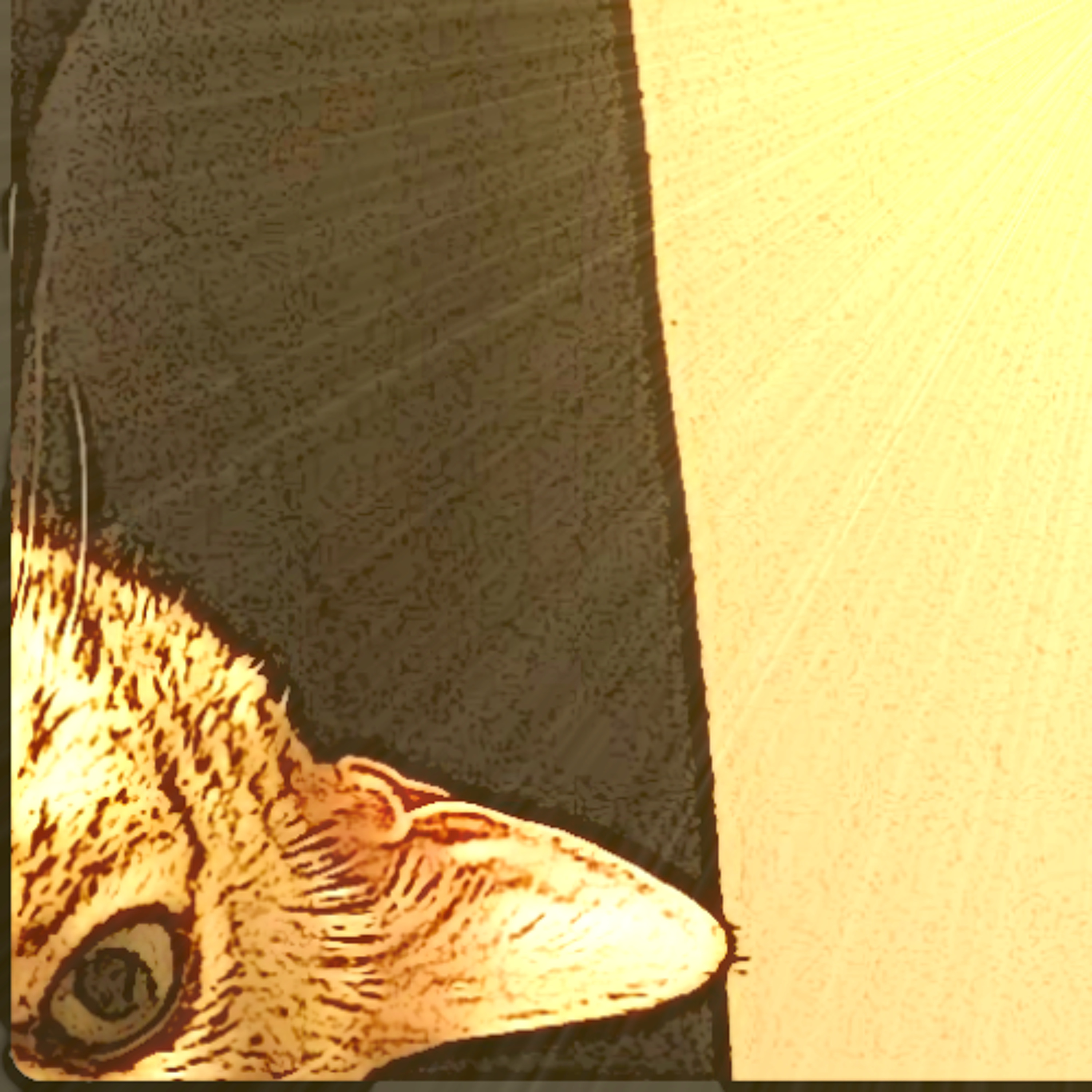 wartsnall XV B episode artwork