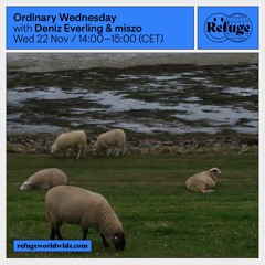 Ordinary Wednesday - Deniz Everling & miszo - 22 Nov 2023