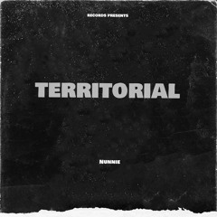 Nunnie-Territoral (nba youngboy remix)