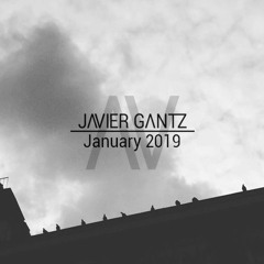 Javier Gantz | January 2019