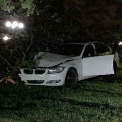 Une BMW et un arbre