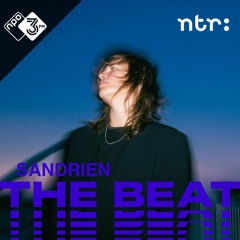 The Beat Mix: Sandrien