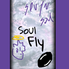 soulfly⚡️