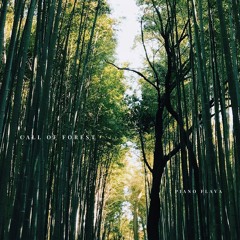 Call of Forest - ambient music
