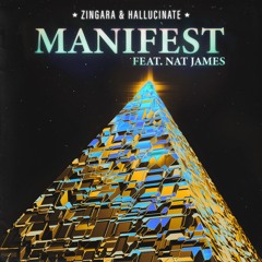 Zingara & Hallucinate - Manifest ft. Nat James