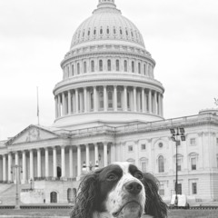 Mister DC (Acoustic Demo 12:11).mp3