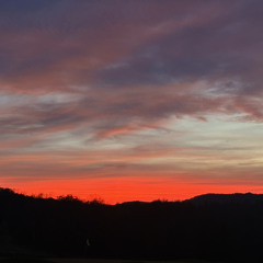 where did the time go (Prod. 2late!)