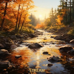 Morning Stream