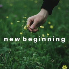 n e w  b e g i n n i n g