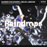 Sandervandoorn - Selva - Macon - Raindrops ( Half skeleton remix )
