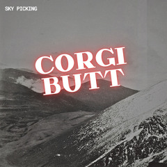 Corgi Butt