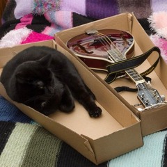Samy In A Box