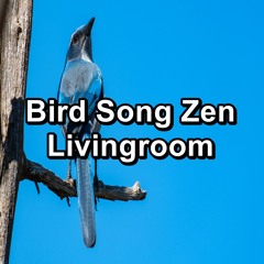 Easy Listening Birdsongs Music